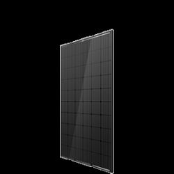 HONEY M PLUS - DD05A.05(II) ɫ߿/ɫ